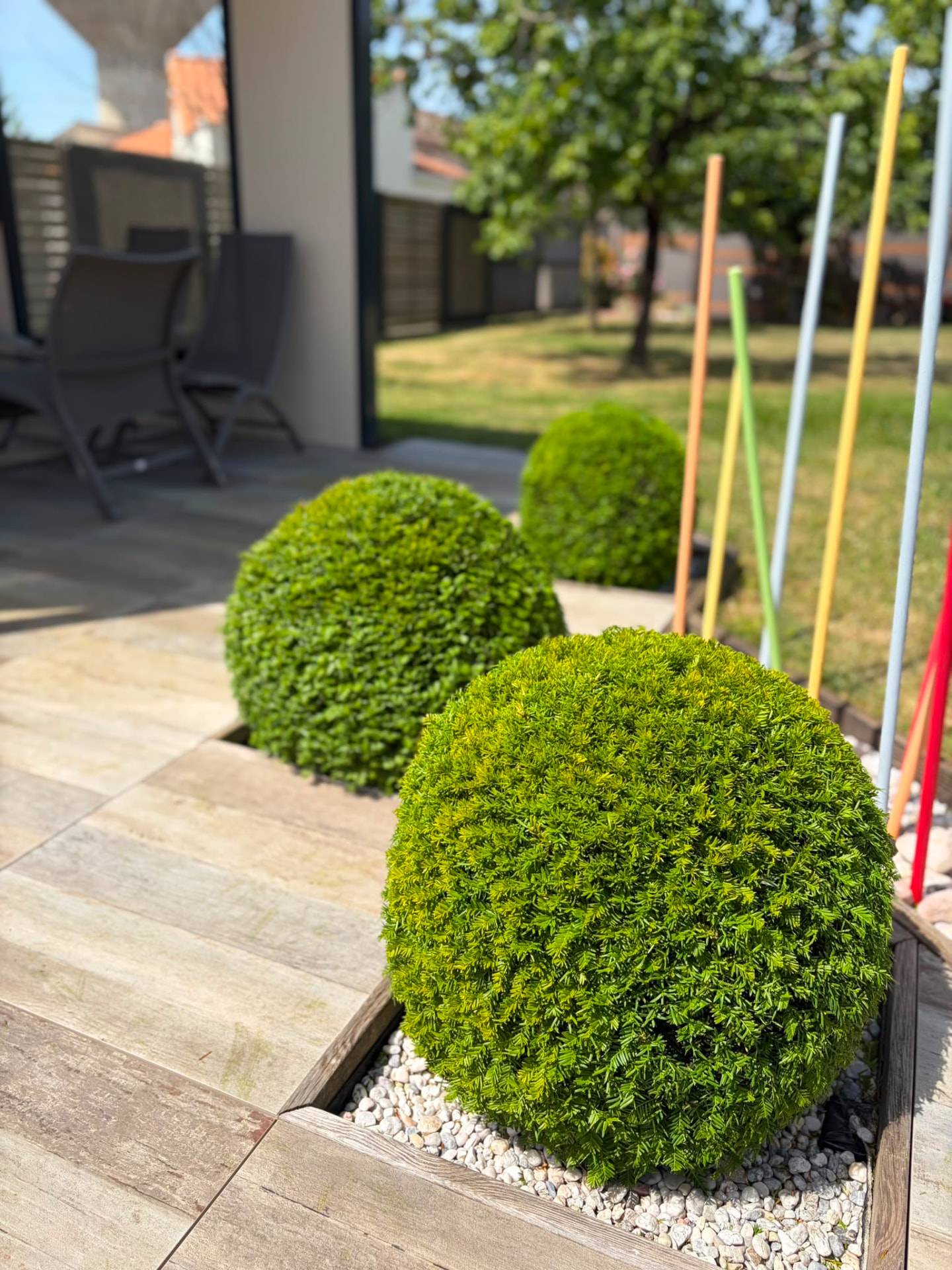 Arbustes taillés en boules le long d'une terrasse